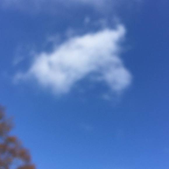 Meet your Posher, Kathy - Picture 1 of 1